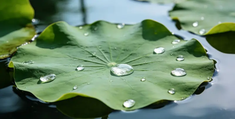 哈尔滨乳腺癌21基因mRNA表达分析图片1