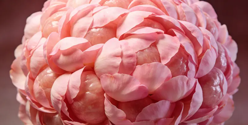 哈尔滨BRCA1/2乳腺癌卵巢癌基因检测图片1